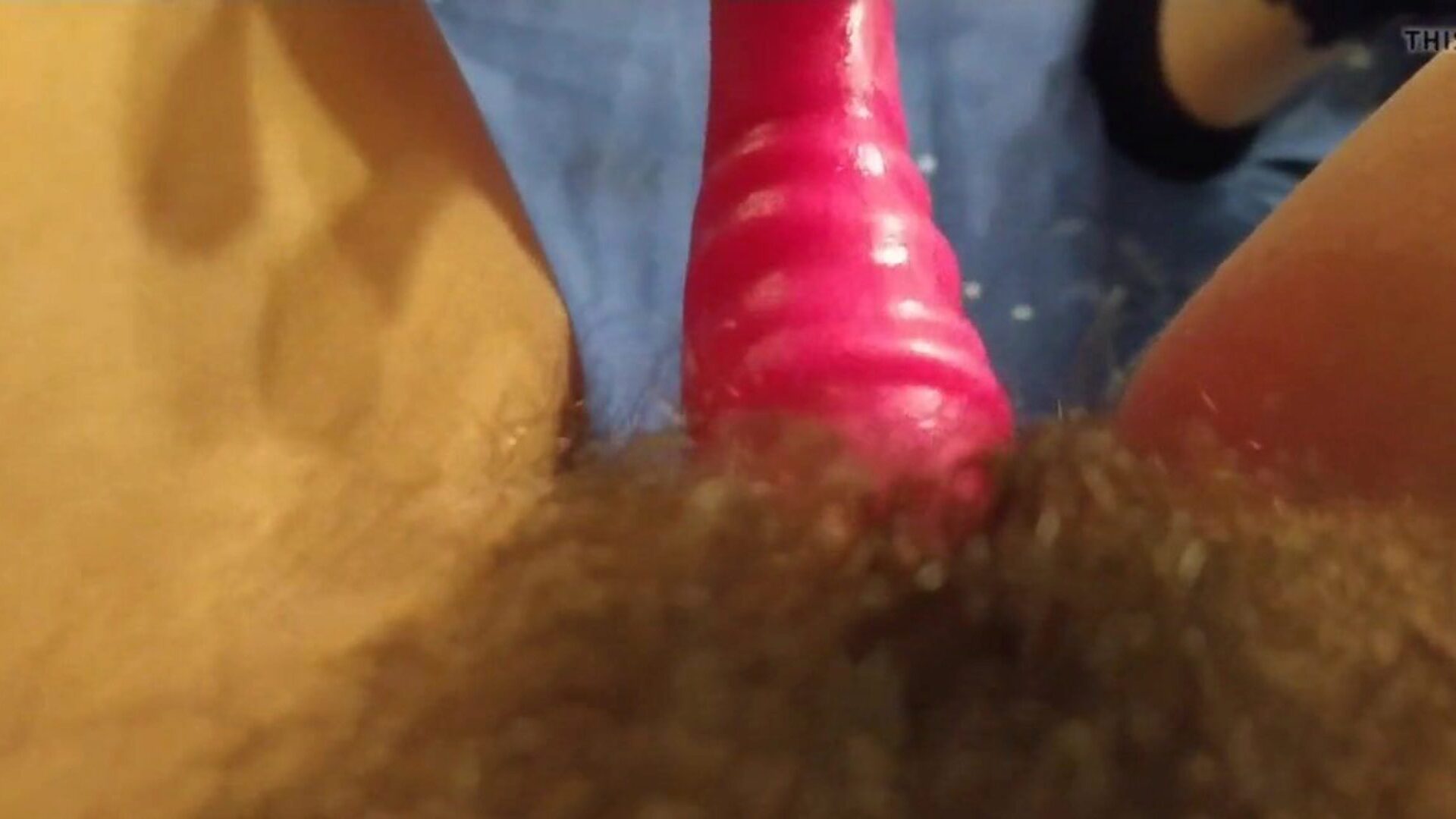 close-up de buceta peluda